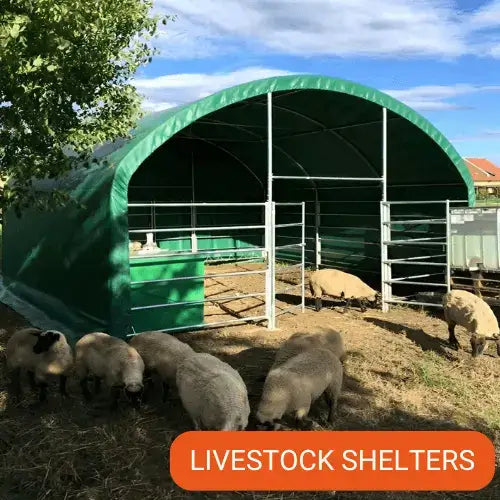 Green livestock shelter with sheep under a blue sky